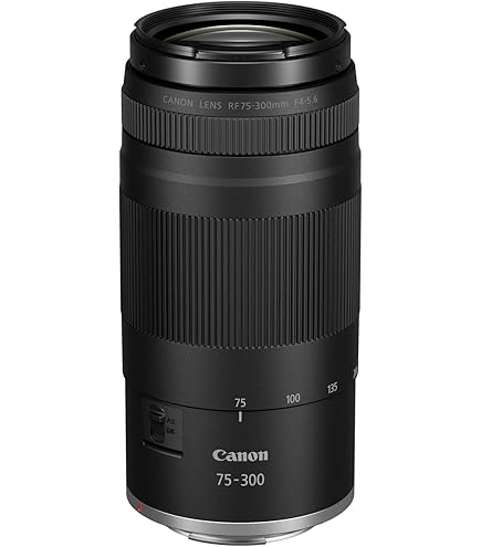 CANON ZOOM LENS EF 75-300mm 1:4-5.6 ⅡUSM CANON ZOOM LENS EF 75-300mm 1:4-5.6 ⅡUSM