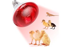 KBIBCK Bombillas de Calefacción para Reptiles, 250W Lámpara Térmica Infrarroja para Tortugas, Bombilla de Calor para Reptiles, para Reptiles y Lagartos Anfibios, Serpientes, Tortuga, Pollos
