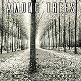 Image de Among Trees 2012 Calendar