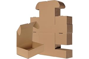 RLAVBL Boite Carton Expédition 22.9x15.3x7.1 cm, Lot de 25 Boites Carton en Marron