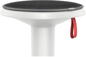 ‎INTERSTUHL Interstuhl UPis1 Premium Sitzkissen - Besonders bequemes Stuhlkissen perfekt geeignet für Hocker, Stühle, Bänke und Fußböden (tiefschwarz)