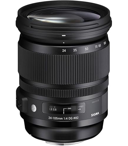 Sigma 24-70Mm F2.8 Dg Os Hsm Art Serisi Zoom Lens : Amazon.com.tr