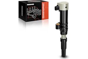 Frankberg 1x Bobine d'allumage Compatible avec Clio II Clio III Duster Logan Sandero Kujusqu'àtar Primastar Vivaro Kangoo Laguna M.e.g.a.n.e Modus Twingo II Remplacer# 7700875000 7700107177