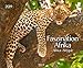 Faszination Afrika 208719 2019: Großer Wandkalender. Foto-Kunstkalender afrikanischer Tiere in der Natur. Querformat 55 x 45,5 cm. Edles Foliendeckblatt und Glanzlackierung. by