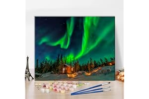 TISHIRON Aurora Pintura por Números Adultos Niños Aurora Norte Paisaje Pintura al óleo DIY Pintada a mano Kit de pintura al óleo con pinceles para la pared Decoración del hogar Decoración 16"x20"