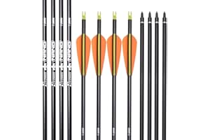 ELONG OUTDOOR Flèches de Chasse en Carbone avec Pointes Amovibles de 100 Grains pour tir à l'arc composé et Classique et tir à l'arc Traditionnel (Lot de 6/12)