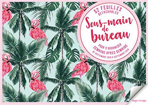 Télécharger Sous main de bureau pour s'organiser semaine après semaine 2018-2019 Francais PDF