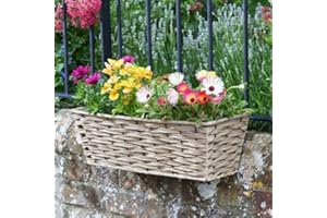 SMART GARDEN Online Garden Centre 19in Bari Faux Rattan Planter - Sand