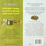 Image de ¿Cómo se cultivan los alimentos? (Mi mundo, Band 23)