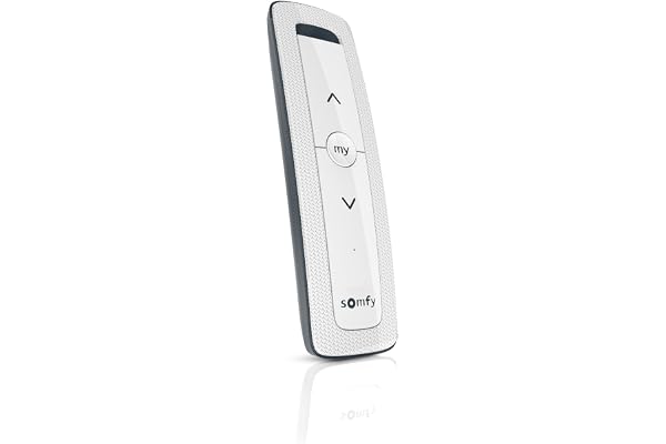 Somfy 1870637 - Télécommande Situo 1 IO Arctic | pour Commander 1 Moteur ou 1 Groupe de Moteurs Radio IO