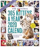 2020 365 Kittens-A-Year Picture-A-Day Calendar by