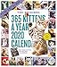 2020 365 Kittens-A-Year Picture-A-Day Calendar by