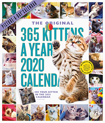 2020 365 Kittens-A-Year Picture-A-Day Calendar