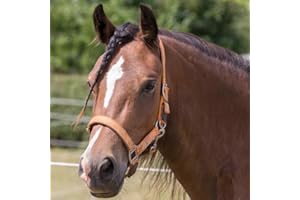Cameo Equine Fieldsafe Headcollar - Keep Your Horse Safe with Reflective Webbing