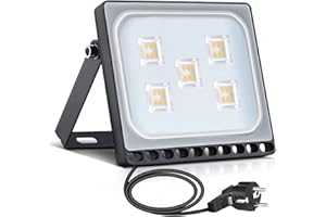 papasbox Reflektor LED 30 W, reflektor zewnętrzny z wtyczką, wodoszczelny IP65, 3000 K, ciepła biel, oświetlenie zewnętrzne do ogrodu, garażu, hotelu