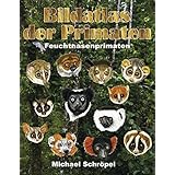 Bildatlas Der Primaten Amazon De Schropel Michael Bucher