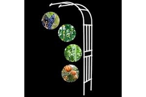 LNDER Metall Rosenbogen Garten Halbbogen Rankhilfe Rankgitter Torbogen Für Kletterpflanzen Verzinkt Halb-rosenbogen Witterungsbeständig(Weiß,60x240cm/2.0x7.9ft)