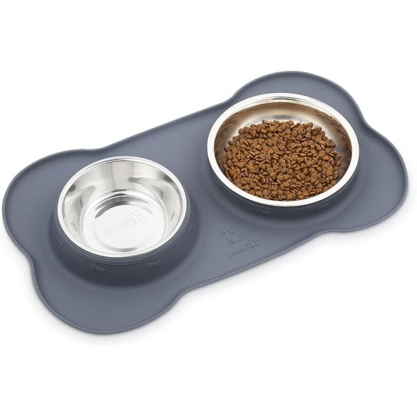 Kattenborstel: de beste opties in vergelijking Kattenborstel: de beste opties in vergelijking