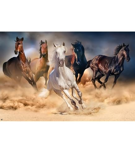 GB Eye Ltd – Maxi Poster Bob Langrish 'Waterfall' – 61 X 91,5 Cm – Stampe Di Cavalli