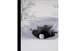 Arctic Fox Snow Den Composition Notebook: College Ruled Journal, 7.5" x 9.25" (19 x 23.5 cm), 110 Pages – for School, Work, J