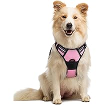 Karlie Easy Leader Arnés De Morro Para Perros
