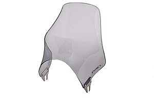 Puig 0869H Para-Brise Naked Fumé Claire