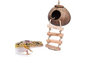 BESIMPLE Gecko - Cabaña de cáscara de Coco, cabaña de pájaros con Escalera, Textura de Coco Que Proporciona Alimentos, hábitat de Cueva Duradero con Lazo para Colgar geco Leopardo, Reptiles, Anfibios y