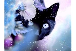 CaptainCrafts Malen nach Zahlen Erwachsene, DIY Art Malen nach Zahlen Leinwand Acrylfarbe Wand Kunstwerk Geschenke Home Wall Decor 16 * 20 Zoll (Katzen, Mit Rahmen)