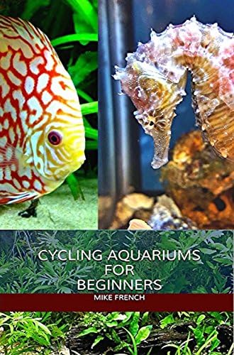 Cycling Aquariums For Beginners