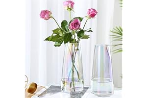 Lyellfe 2 Pack Flower Glass Vase, Clear Iridescent Modern Vase for Centerpiece, 8.6"/22cm Tall Handmade Table Vase for Living Room, Office, Chiristmas Gift, Wedding Decor