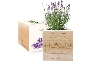 Amikado - Ecocube gravé Merci Maîtresse (Lavande) - Plantes dans Un Cube en Bois - 100% Eco Friendly - idée Cadeau Durable