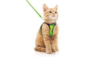 rabbitgoo Pettorina Gatto Antifuga, Guinzaglio Gatti Regolabile, Imbracatura Ultra-Leggero Morbido Riflettente per Cucciolo, Gattini e Gatto Piccolo, Pettorina per Passeggio e Corsa, M, Verde