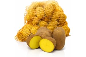 ‎FRUCHTVERSAND24 Speisekartoffeln Belana 10kg | festkochend & gelbfleischig | Salzkartoffeln, Kartoffelsalat, Gratin, Ofen- u. Pellkartoffeln | sehr lagerfähige Einkellerkartoffel