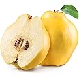 Quince x 10 pack