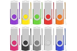 EASTBULL Memory Stick 2GB USB 10Pack, USB 2.0 Thumb Flash Drives Swivel Design Pen Memory Stick Fold Storage (10 Mixed Color With Lanyard)