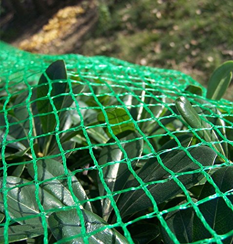 Vogelschutznetz für Vögel oder Kleintiere / Dauerhaft & Lasttragende Material, um Pflanzen, Bäume und Sträucher Schützen (4 * 10 M Grün und Engmaschig) - 5