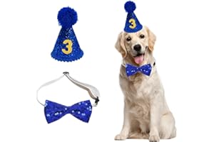 AEIOPRS 1 Set Compleanno Cani: Numeri d'oro Cappello Cravatte Accessori Feste Cuccioli Blu