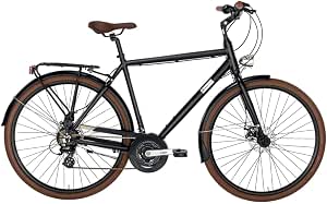 Alpina Bike, Bicicletta Trekking 21v Uomo Comfort : Amazon.it: Sport e  tempo libero