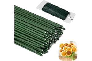 LPAMABA 100pcs 30cm de largo φ2 mm Verde Flores Floristas Alambre de Floristería Alambre de Tallo Floral Alambre de Tallo de Flores Arreglos Florales para manualidades ramo de corona de flores