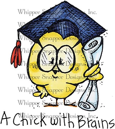 Whipper Snapper Designs Cling Stamp 4-Inch x 6-Inch Chick with Brains, Acrylic, Multicoloured
