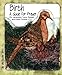 Birth: A Guide for Prayer (Take and Receive Series) by 