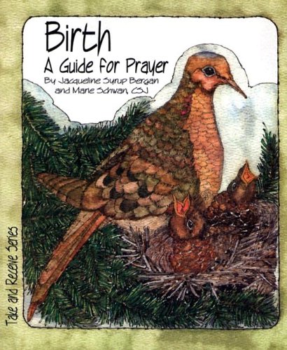 Birth: A Guide for Prayer (Take and Receive Series)