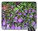 Price comparison product image Achimenes Mouse Pad, Mousepad (Flowers Mouse Pad)