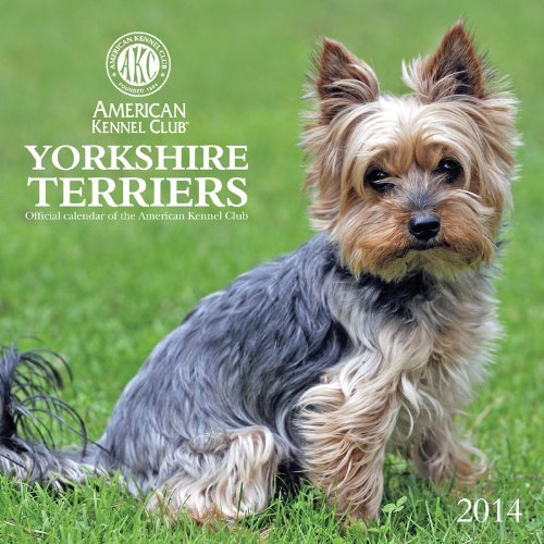 2014 Yorkshire Terriers - American Kennel Club Wall by Zebra Publishing Corp. (2013-07-30)