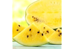 Saterkali Semi di anguria, 100 pezzi semi di anguria gialla sapore dolce piccoli semi di frutta produttivi per giardino Semi Di Anguria