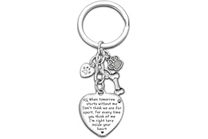 NIMTEVE Loss of Pet Keyring, Memorial Key ring, Heart Paws Print, Pet Memorial Gifts, Sympathy Gifts Remembrance Gift for Pet Dog Cat Lover Jewellery Sympathy keychain