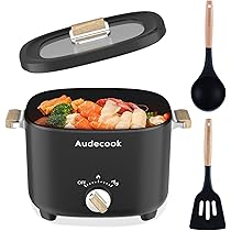 3 PAGEN Elektrische kookpan met deksel, 2 liter, anti-aanbaklaag, hot pot, multikoker, koken zonder fornuis, elektrische kookpan met 2 temperatuurregelaars, multifunctioneel en energiebesparend, 300