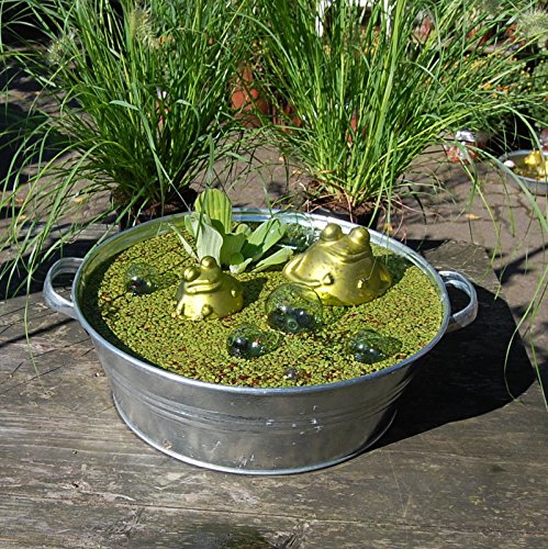 Miniteich mit Zinkwanne Glasschwimmkugeln Schwimmfrosch und Wasserpflanzen - 4