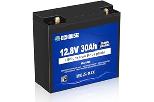 DCHOUSE Batteria Litio 12V 30Ah Mini, Max.15000 Cicli e Con Protezione BMS, 10 Anni di Vita, Ricaricabile Batteria LiFePo4 12V Per UPS, il Giro sul Giocattolo, Passeggino, Pannello Solare, Campeggio