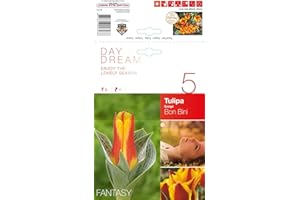 AGRONOM TESTED IN THE GARDEN AGRONOM | TULIPANES - BON BINI | Bulbos de flores perennes | Flores Amarillo-Rosa | Se cultivan en jardines de flores, macetas, se plantan en céspedes en flor | Paquete de 5 bulbos de flores